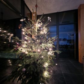 radost_galerie_231114_022