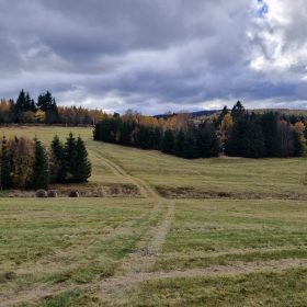 radost_galerie_231114_031